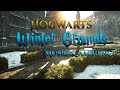 Hogwarts Grounds in Winter: Music & Cinematic Ambience | Hogwarts Legacy