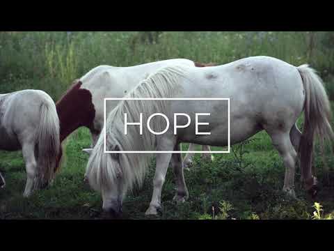 Music for Hope & Determination - Escape, Relax and Breath | Meditation Music