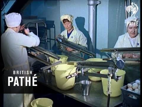 Out Takes / Cuts From Cp 323 - Reel 1 Of 2 - Frozen Eggs (1961)