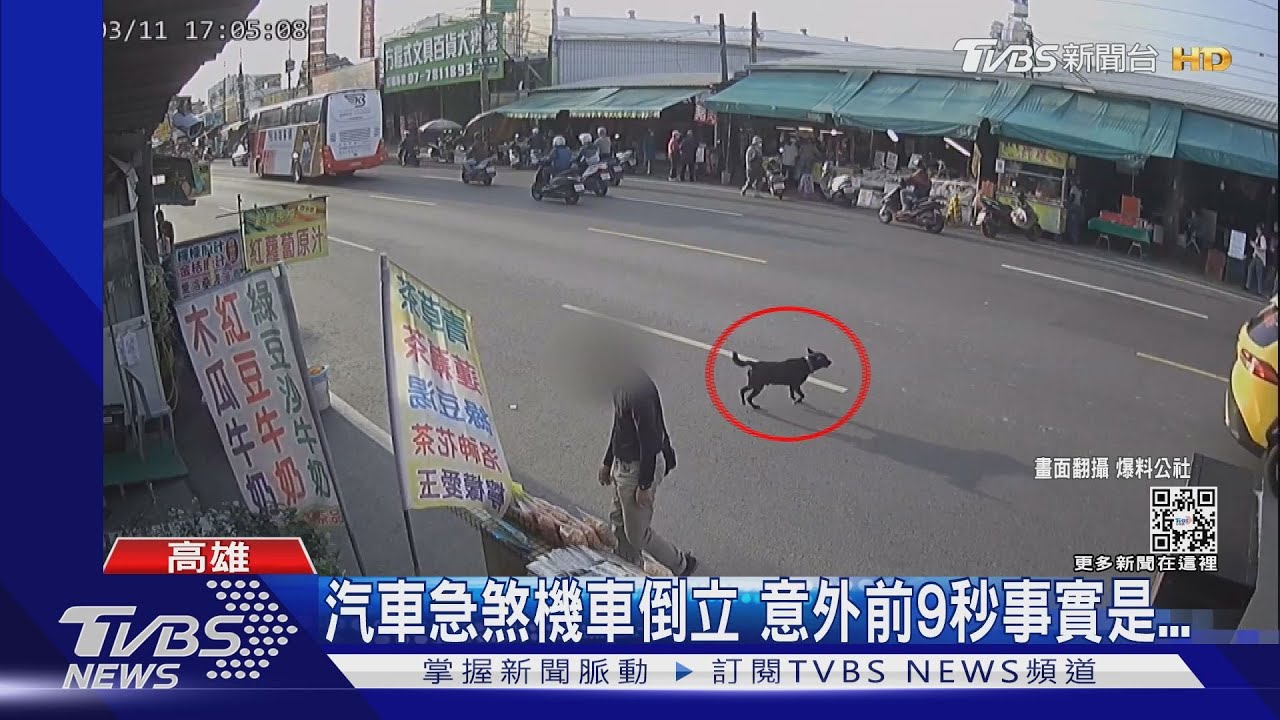 狗出沒!汽機車追撞 意外前9秒 攤販做「這個動作」