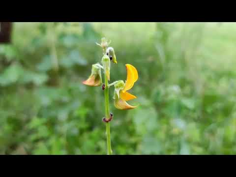 15 Min. Meditation Music /Relaxing Music Stress Relief Music