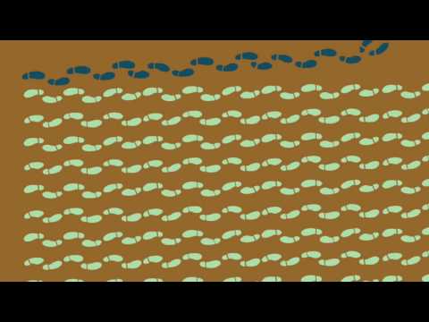 Weary - Mal Blum