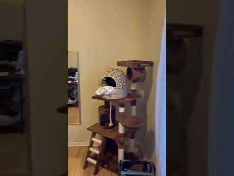 1118 E. Kane Pl. property video