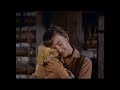 Previews From Tarzan 2005 DVD