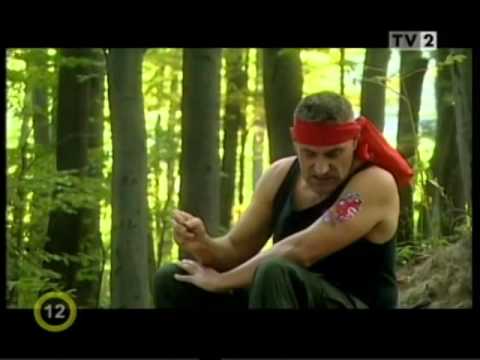 IHM - Guten Tag