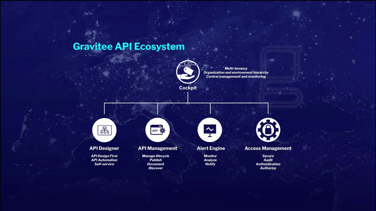 Gravitee API Platform Overview