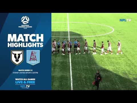 NPL NSW Men's Round 22 Fixture – Bulls FC Academy v APIA Leichhardt