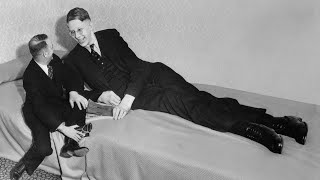 The Tallest Man In History