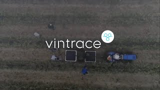 vintrace video