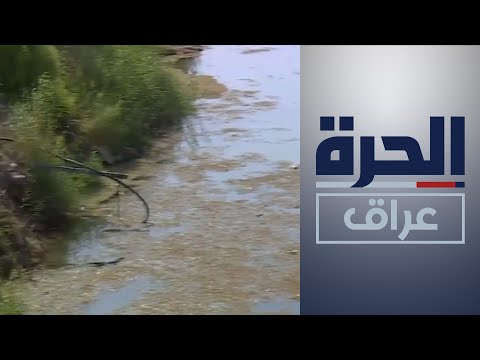 شاهد بالفيديو.. في الديوانية .. أزمات الماء تطال مياه الشرب