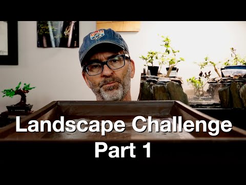 Landscape Challenge Part 1:  Dave's Bonsai E302