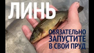 Ссылка