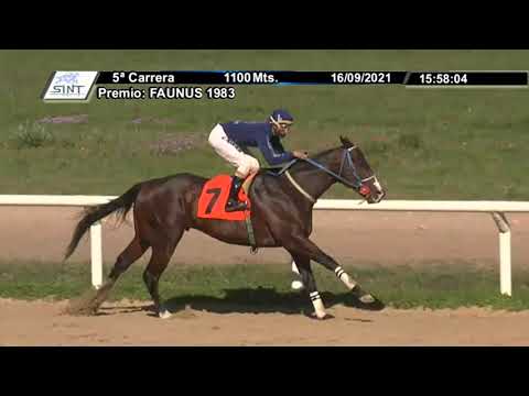 CARRERAS SINT PAYSANDU - 210916 c05 1° TU DON TIMOTEO