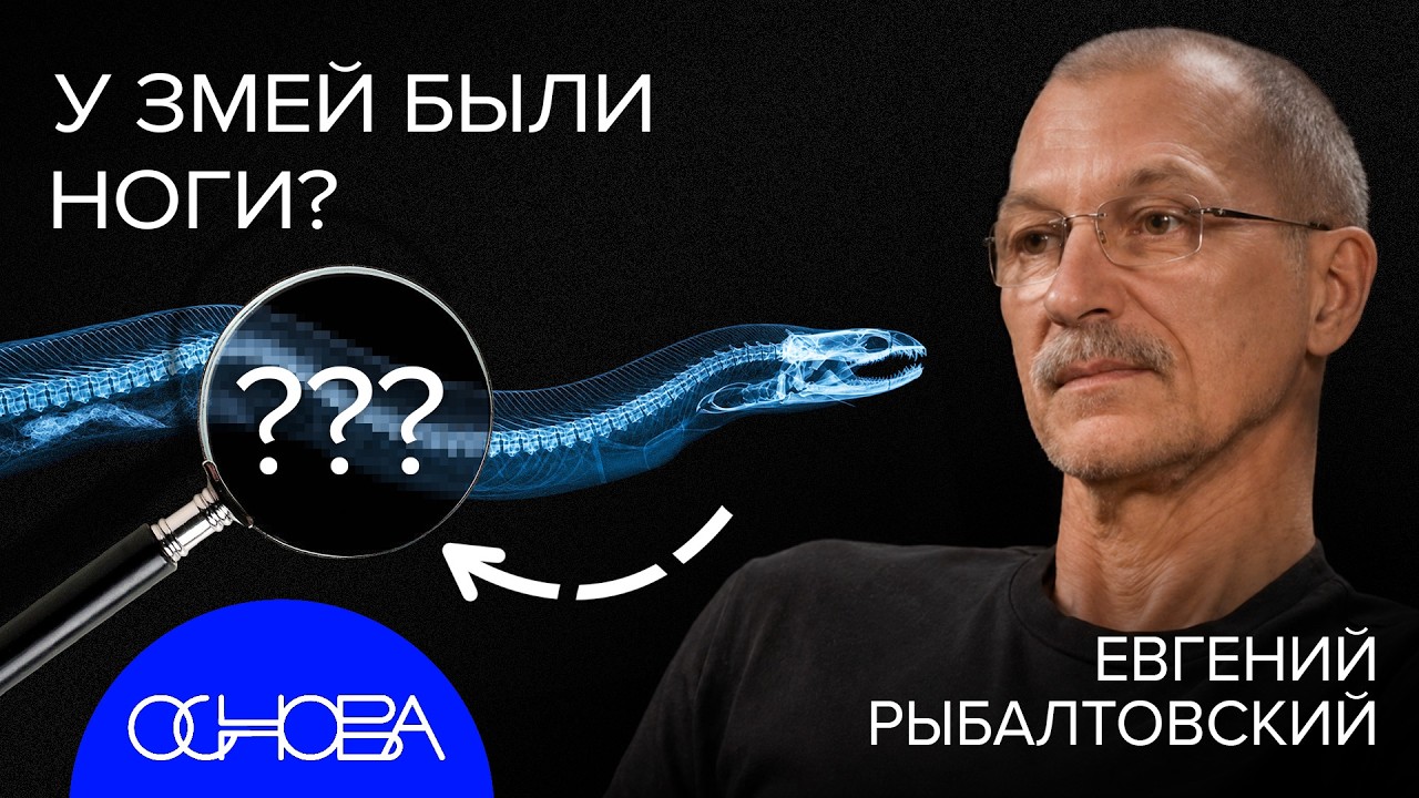 ЗМЕИ, РЕПТИЛИИ, АМФИБИИ и ПРЕСМЫКАЮЩИЕСЯ: КТО ОНИ?