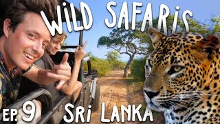 Safari in Sri Lanka HONEST Review | Yala & Udawalawe National Park | Sri Lanka on $1000