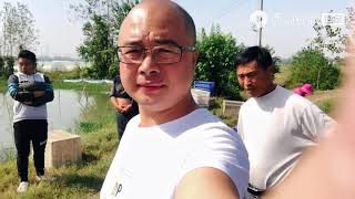 农村悦悦：悦悦外出助农，老公在家一次就买4000斤黄鳝，这场面你见过吗？