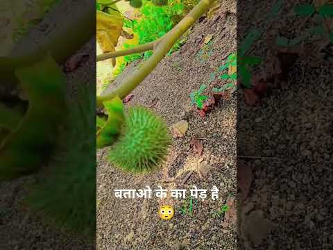 16 सितंबर 2024