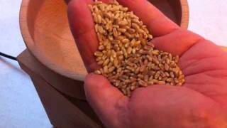 preview picture of video 'KoMo Fidibus 21 Grain Mill'