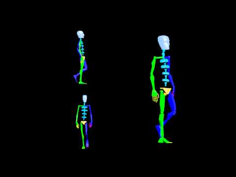 Female Standard Walk - 3ds Max Animation