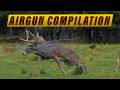 10 Deer Taken With Air Guns KILL SHOT COMPILATION