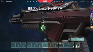 Valorantclip　アセの軌跡　＃VALORANT