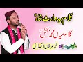 Download Punjabi Sufi Kalam Irfan Ansari Kalam Mian Muhammad Bakhsh Heer Waris Shah Sufi Work Mp3 Song