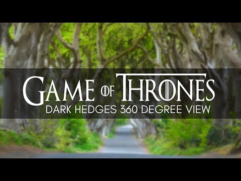 The Dark Hedges in a 360 Degree View | Northern Ireland Video