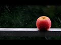 Video Sach