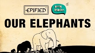Our Elephants | Being Indian & Epified