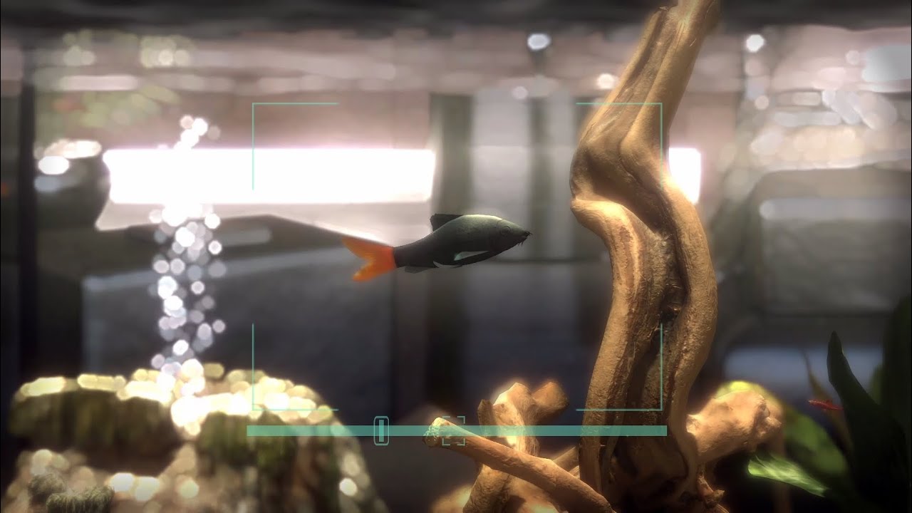 Snapshot Aquarium Trailer