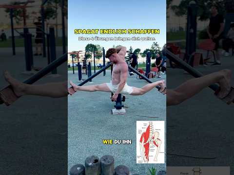 So schaffst du den Spagat schneller – 4 Mobility-Übungen, die wirklich helfen #shorts #mobility