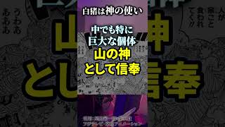 遂に明らかになるワノ国とニカの関係がヤバすぎる...!!?【ワンピース考察 まとめ ネタバレ】