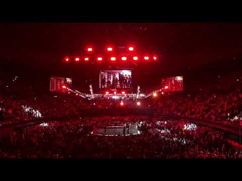 UFC 232 Jon Jones vs. Alexander Gustafsson walkout crowd reaction