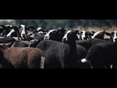 Agello Service GmbH - Werbespot