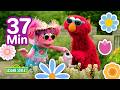 Plants And Flowers With Elmo And Abby Sesame Street 37 Mins