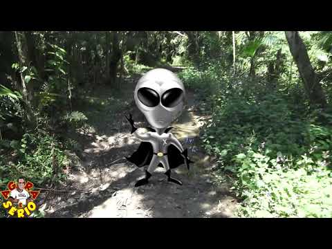 Nem Cida Nem Chico Nem Ayres Scorsatto Parque Ecológico de Juquitiba continua abandonado
