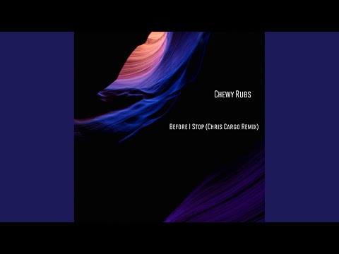 Before I Stop (Chris Cargo Remix)