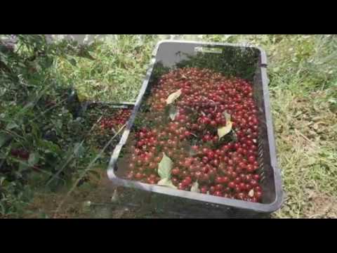 Može bolje ep. 23 NAJAVA