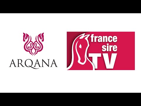 Lot 249 à 557 - Vente Arqana d'Elevage 2025