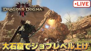 ドグマ2配信！探索やジョブレベルを上げながら雑談していく【ドラゴンズドグマ2】【PS5版】※ネタバレ注意