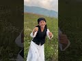 Dubai Wala Toor Pahadiculture Pahadivlogs ️ ️ ️‍