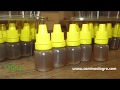Como usar la miel de Angelita(Tetragonisca angustula)