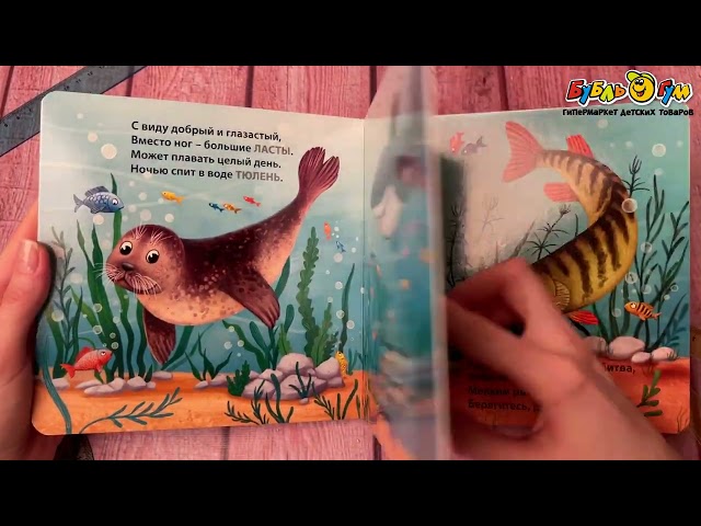 Книга на картоне Кто живет в воде Сосновский Е. - видео