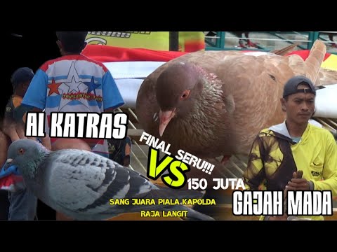 PRESTIGIOUS FINAL OF THE KAPOLDA CUP 150 MILLION STAND OF THE KING OF THE SKY, #merpatikolong #da...