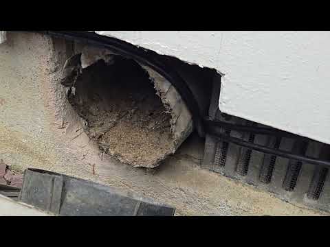 Mice Use Damaged Vent to Enter Home in Lanoka Harbor, NJ