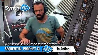 Video thumbnail for SEQUENTIAL PROPHET XL | in Action by Synth Cloud