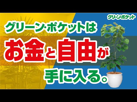 経済学科 人生逆転のチャンス？誰でも挑戦できるグリーンポケットのFCとは｜国土緑化チャンネル