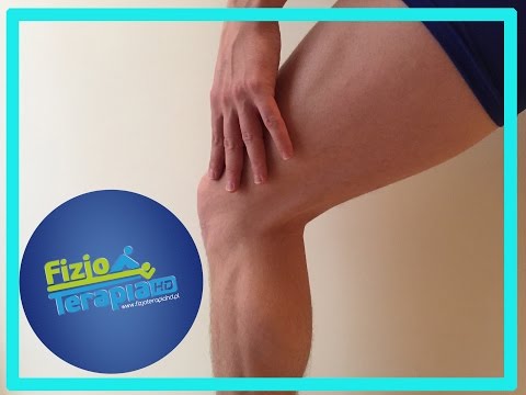 Badanie stawu kolanowego wg Kaltenborna cz.1 #62 FizjoTerapia HD