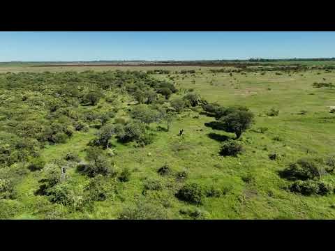 SA PEREYRA, SANTA FE