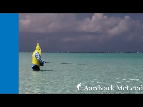 Banana Man - One Minute Monday